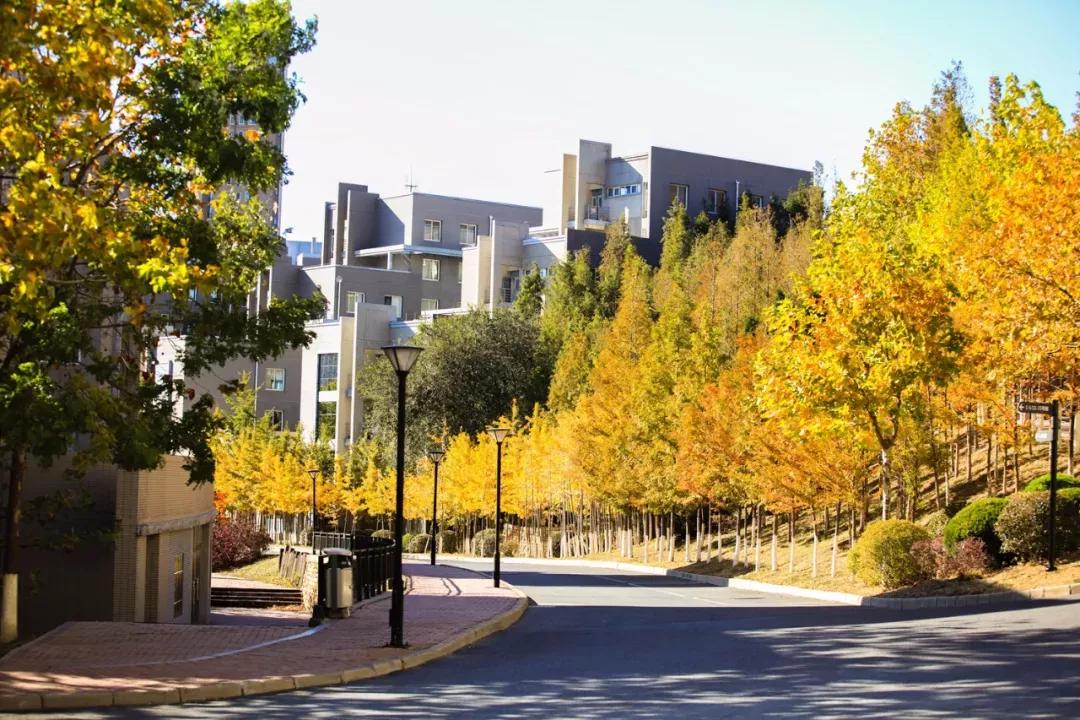 辽宁大连民办大学,大连辽宁二本大学