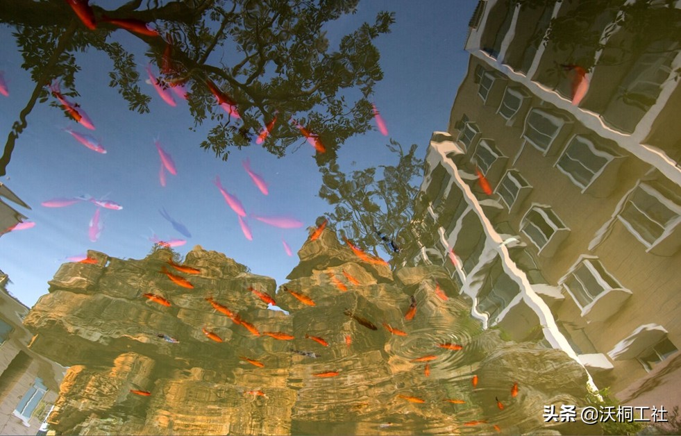 祥泰之州,祥泰之州意思