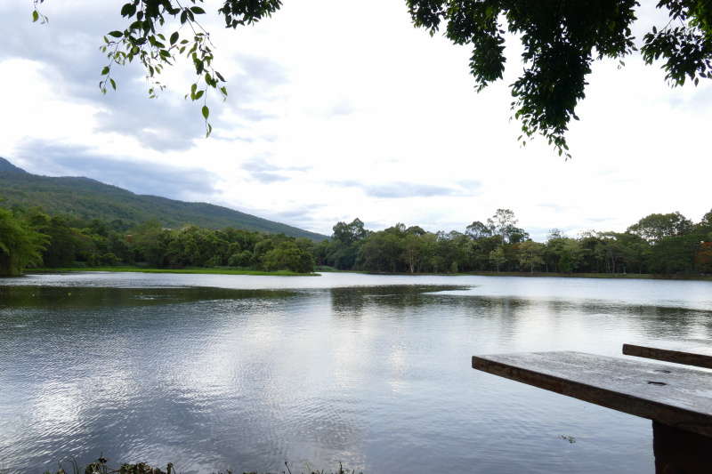 投资市场上的稀有物种：坚守期货24年的欣叔