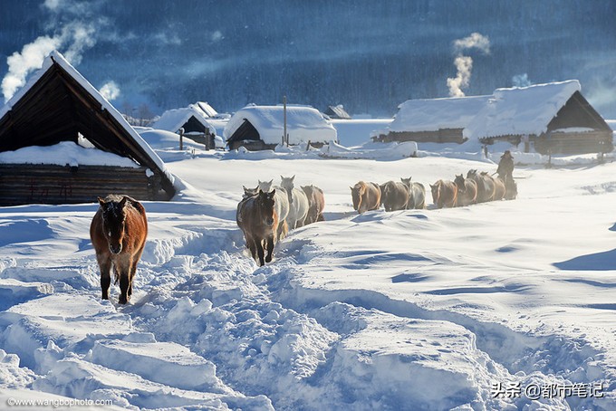从新疆出发内地旅游省钱攻略,入疆旅游攻略