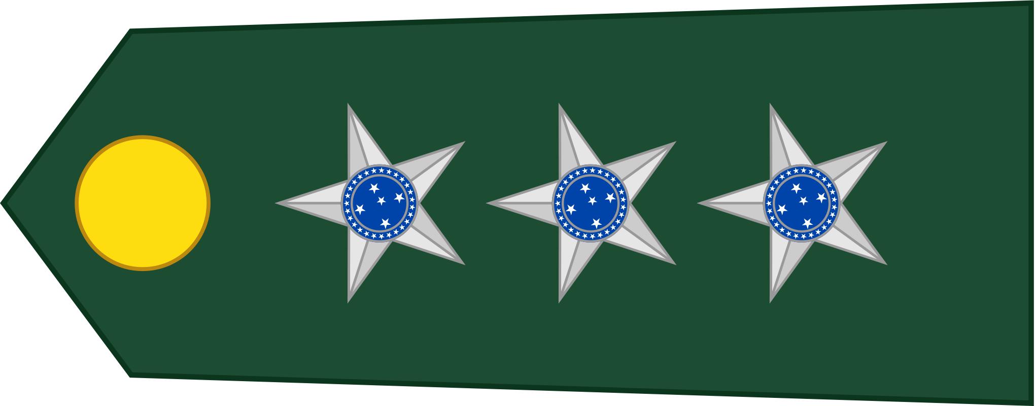 巴西军队标志,巴西海军军衔