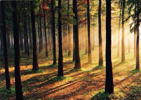 推荐上海地铁能乘到的游玩景点,上海地铁可直达的旅游景点