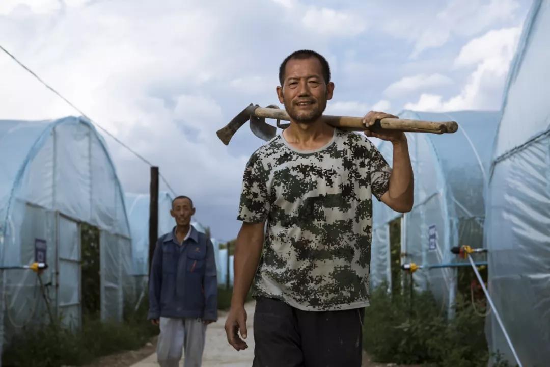 感动河北2019,2018年感动河北十大人物