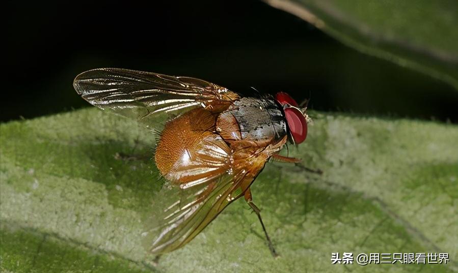 知青难忘的岁月,知青难忘的回忆故事