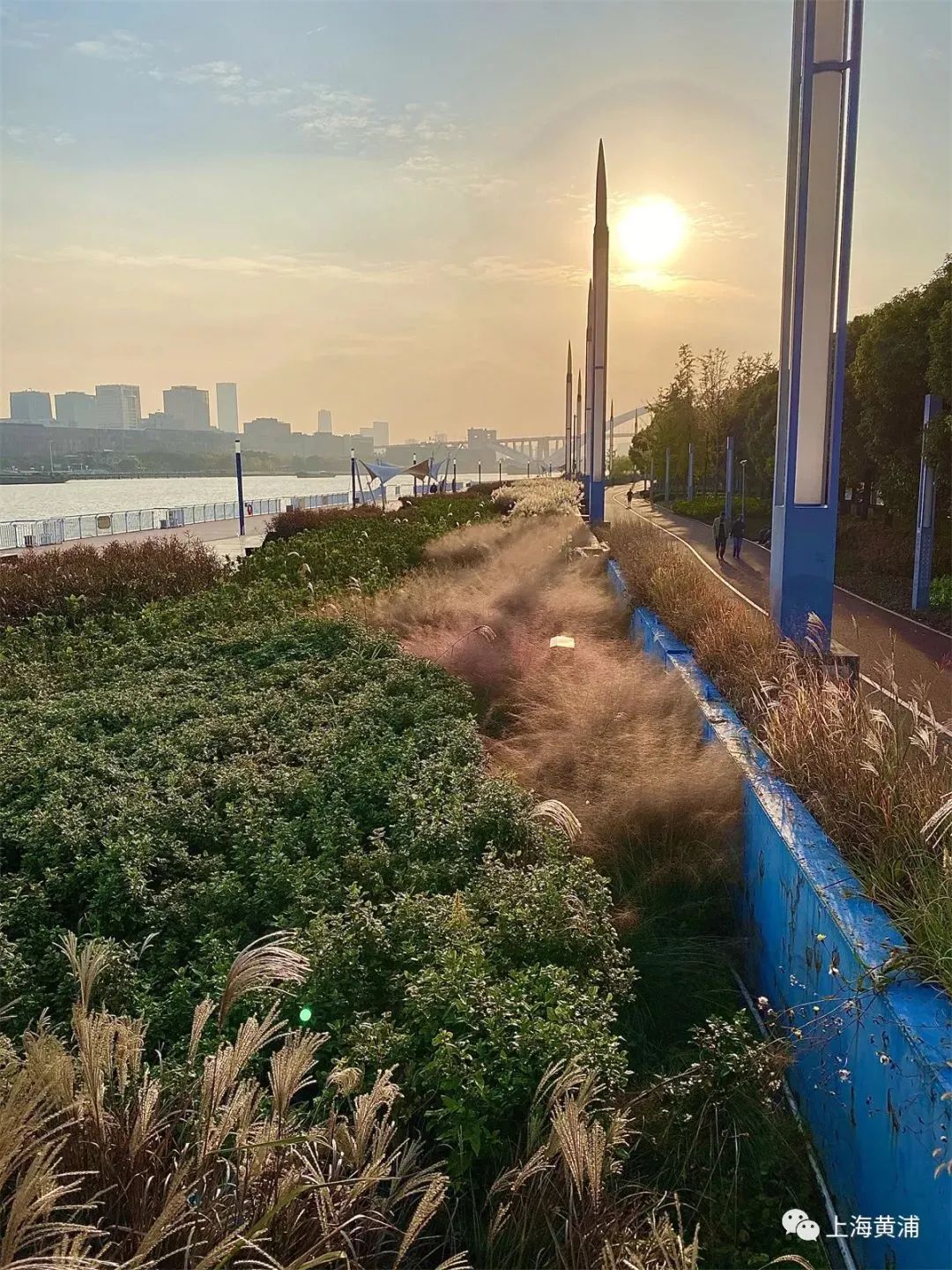 深秋回暖，安排！沪上各区的深秋美景，你准备好打卡了吗？