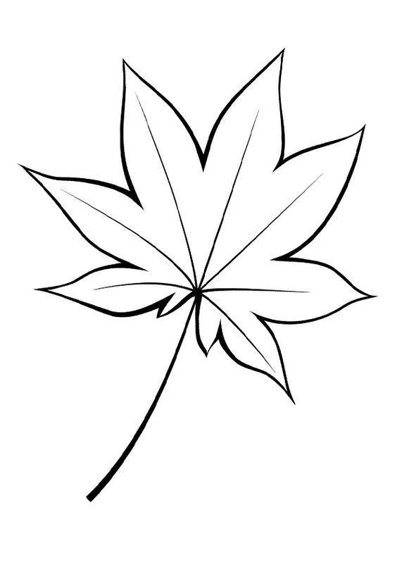 白描各种花朵,花朵白描图片大全大图