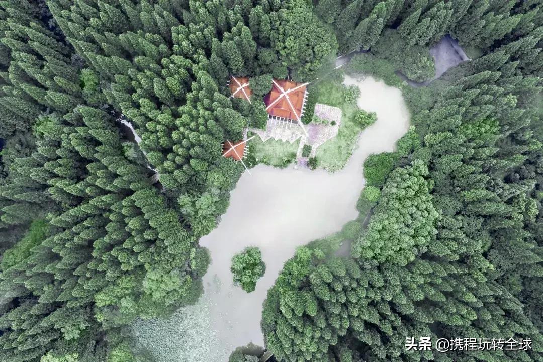 上海周边山一日游推荐,普陀山游两日游报价