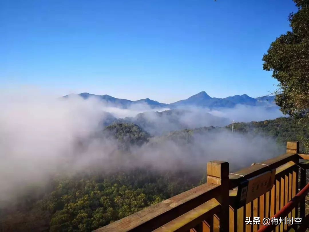 五指石梅州人免费吗,梅州五指石风景区要门票吗