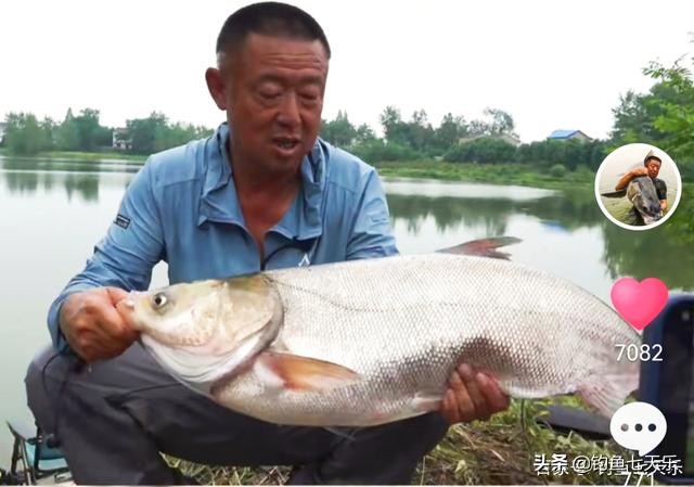 断线跑鱼好不好,李大毛野钓比赛视频