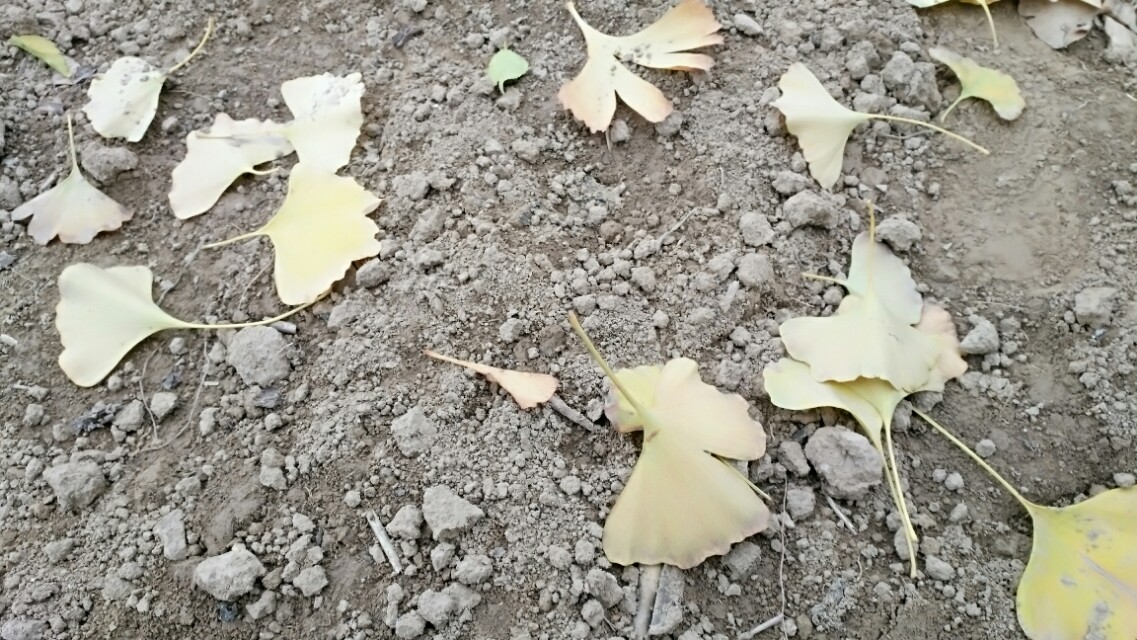 没有所有的感同身受只有冷暖自知,这个世界从来没有真正感同身受