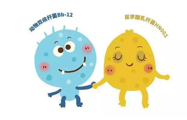 哪种益生菌可以调理乳糖不耐受,哪些益生菌不益于消化