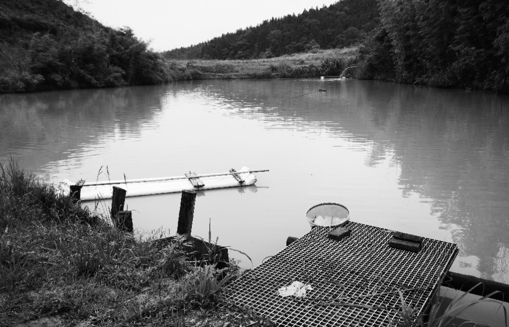 寤虹摨鏈ㄧ妧鐧介奔,鏈ㄧ妧鐧介奔寤虹摨