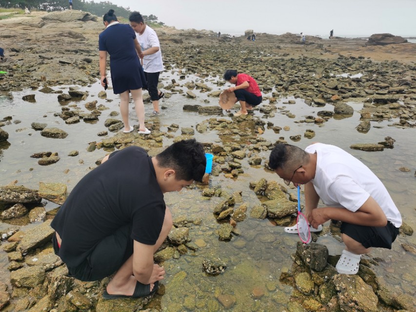 日照最美海边攻略,日照海滩自驾游推荐