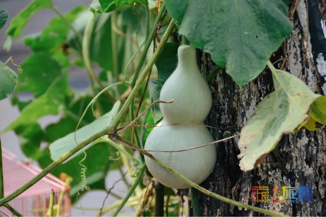 北京藏着一座神秘地下城,北京老城里竟藏着这么多古迹