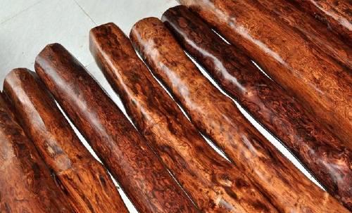 木头知识大全100条,木头种类大全及图片