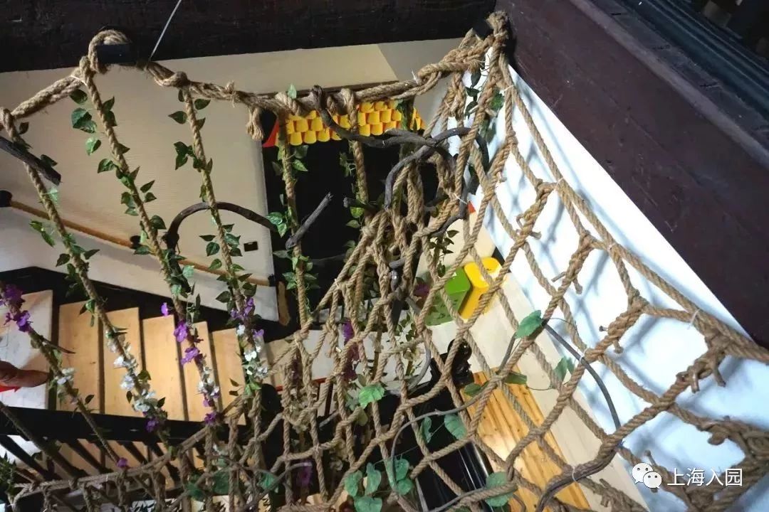 探园高端幼儿园,探园本地幼儿园