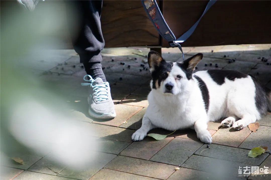 上海国庆小众旅行攻略路线图,上海出发国庆旅游攻略推荐