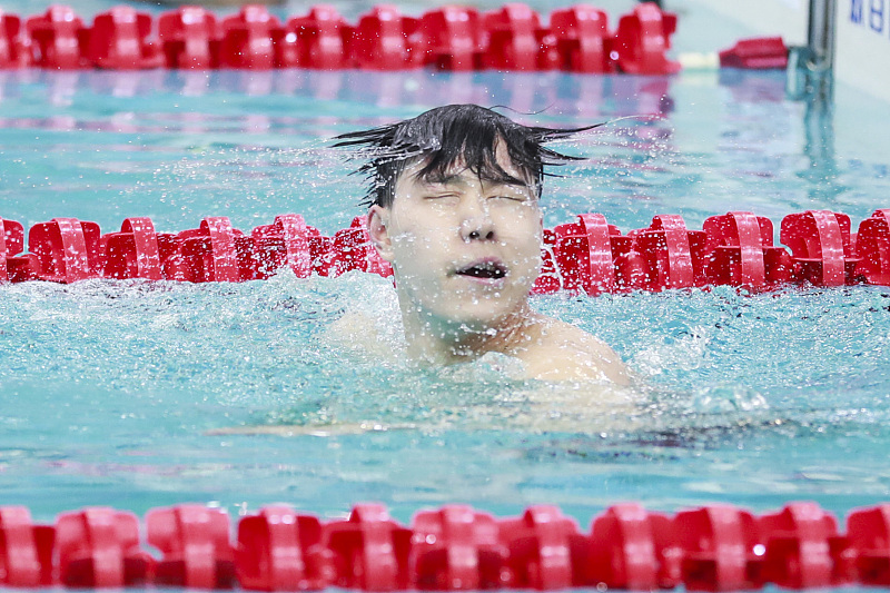 蛙泳游不快？那是你没掌握要领！怎么游我来告诉你