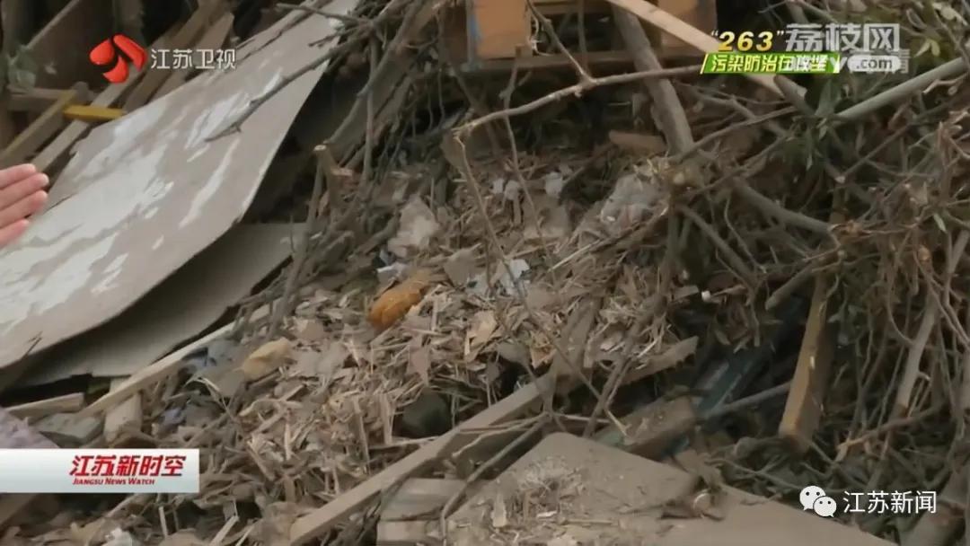 洪泽湖大堤建设现状,洪泽湖生态红线最新消息