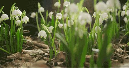 拆开洗衣机又脏又臭?教你一妙招,只需一泡,就把垃圾清空了