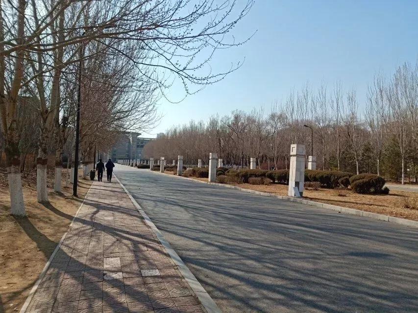 辽宁省普通高等院校,辽宁省沈阳本科大学