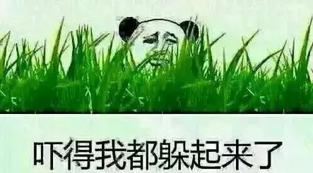 初雪终于来了原版,初雪终于在新年到来前