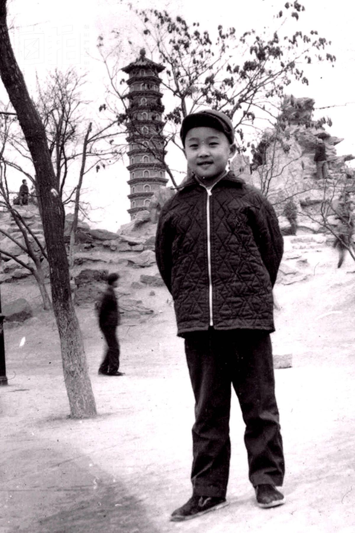 我和媳妇不生孩子，用省下的钱全款买车买房、雇阿姨和司机，享受人生