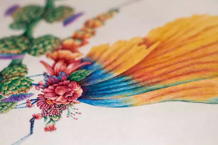 小央美钢笔画视频,极品五大钢笔画简直美爆