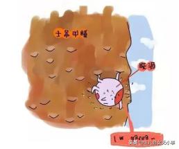 子宫内膜的正确收集方法,子宫是生命之源