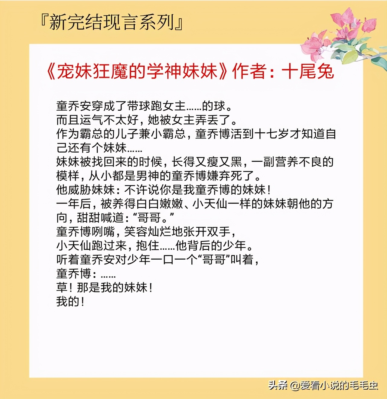 逆袭的现言宠文小说,5本新完结高质量现言甜宠文