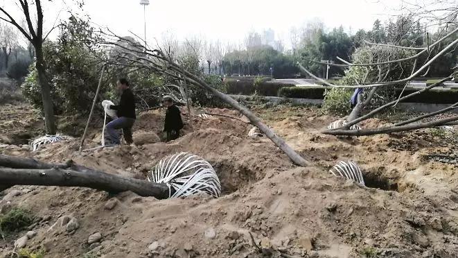 宝鸡美景欣赏,宝鸡美如画风景