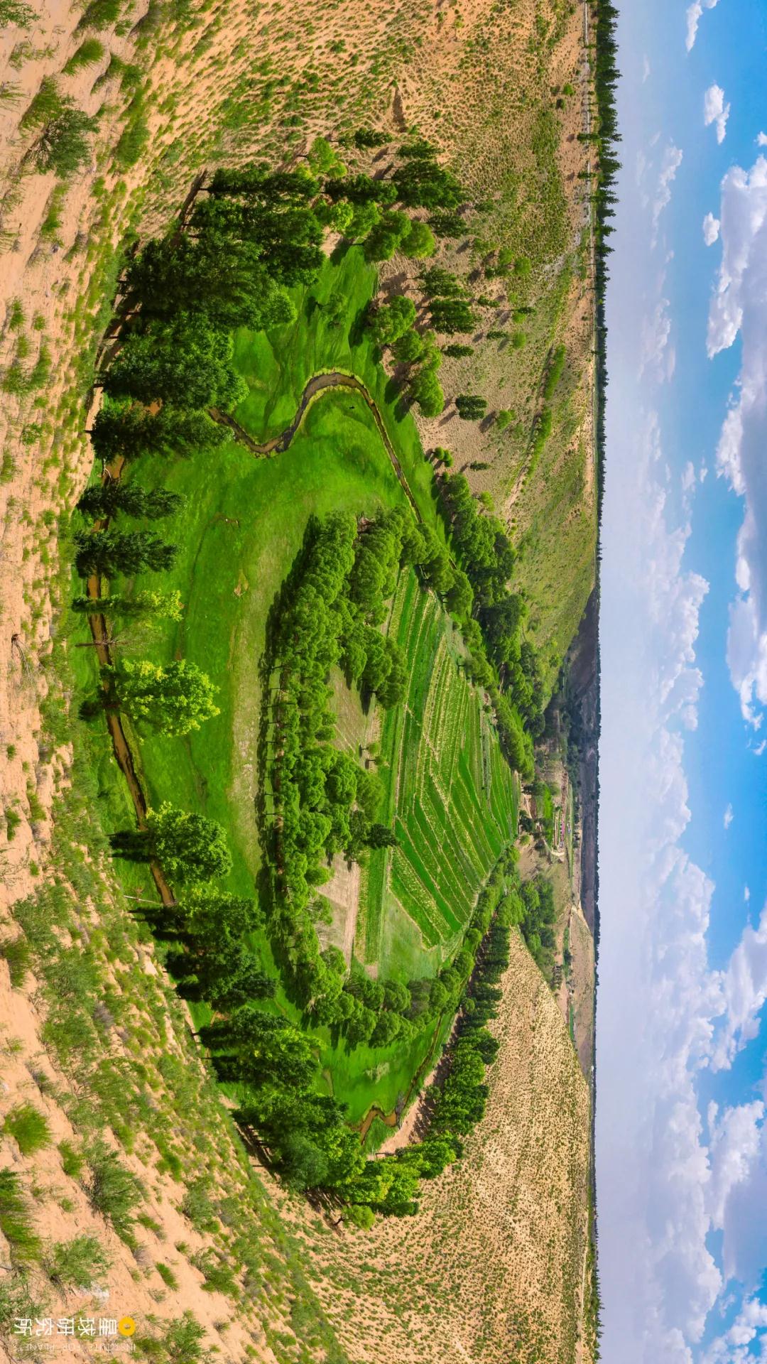 中国植树造林面积,中国植树造林成果国外有什么看法