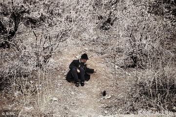 撞南墙的大叔,撞南墙大爷原版