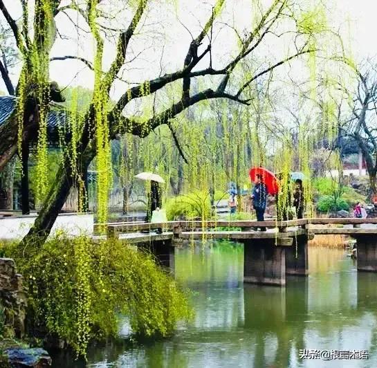 散文随笔植物,散文花