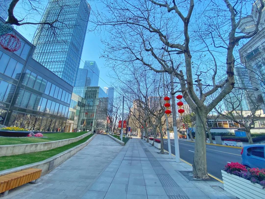 上海2月4日天气,上海2月10日天气