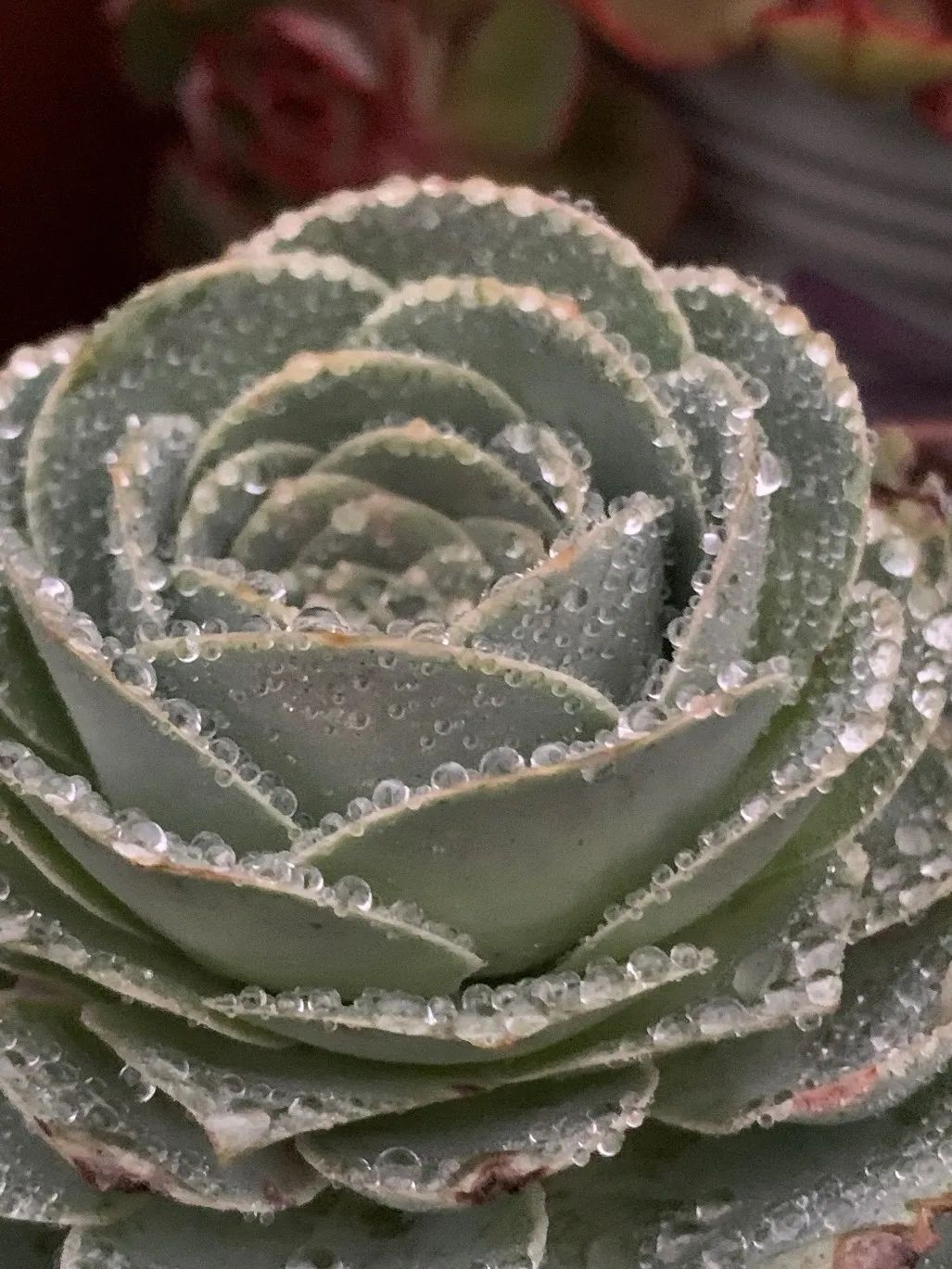 禁足的日子收获颇多,禁足