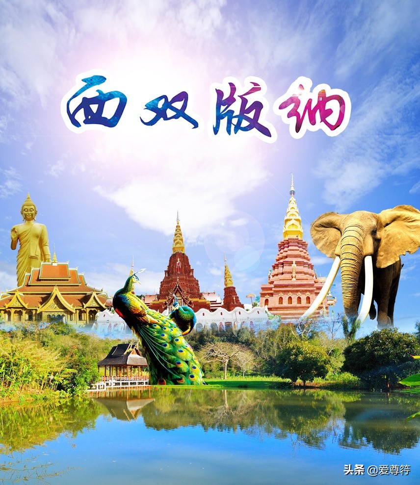 美丽的西双版纳简介,美丽的西双版纳却留不住