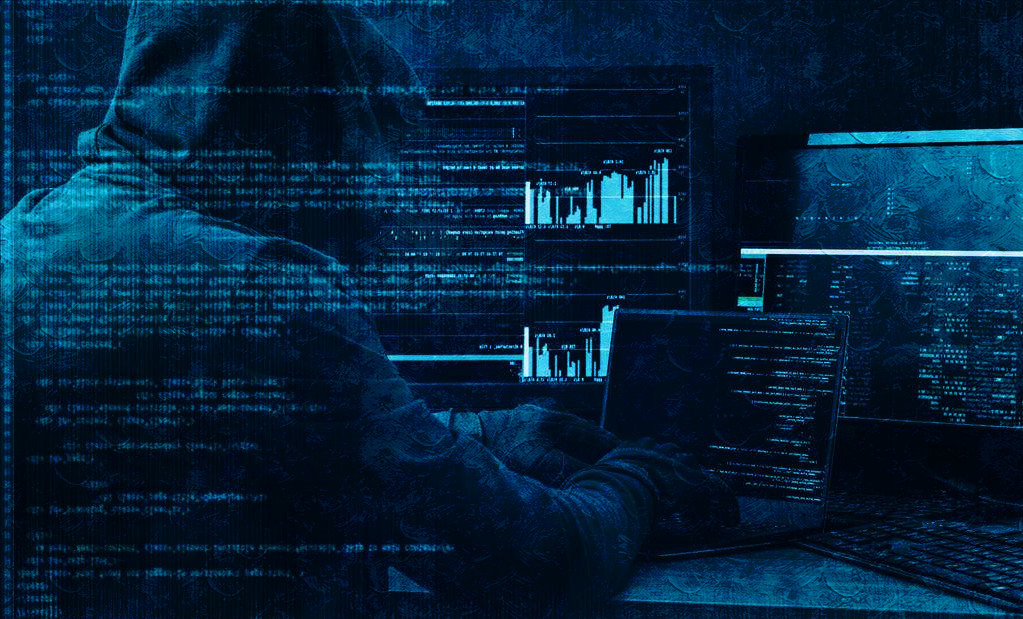 黑客的真实感受,黑客文化与网络安全答案