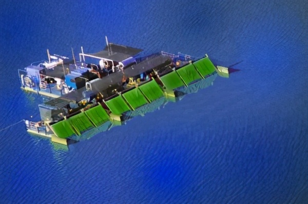 微藻的生物应用前景与展望,微藻产业化关键技术有哪些