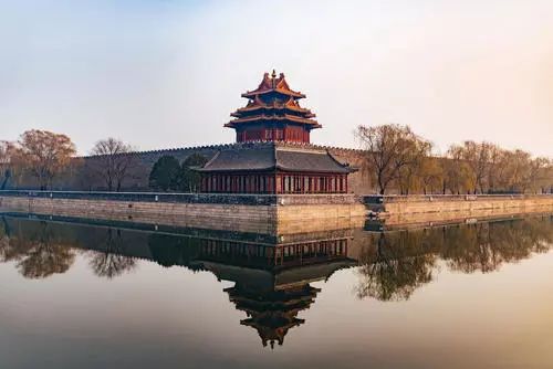 吸猫养狗和养猫的不同之处,养宠物猫比较流行的城市