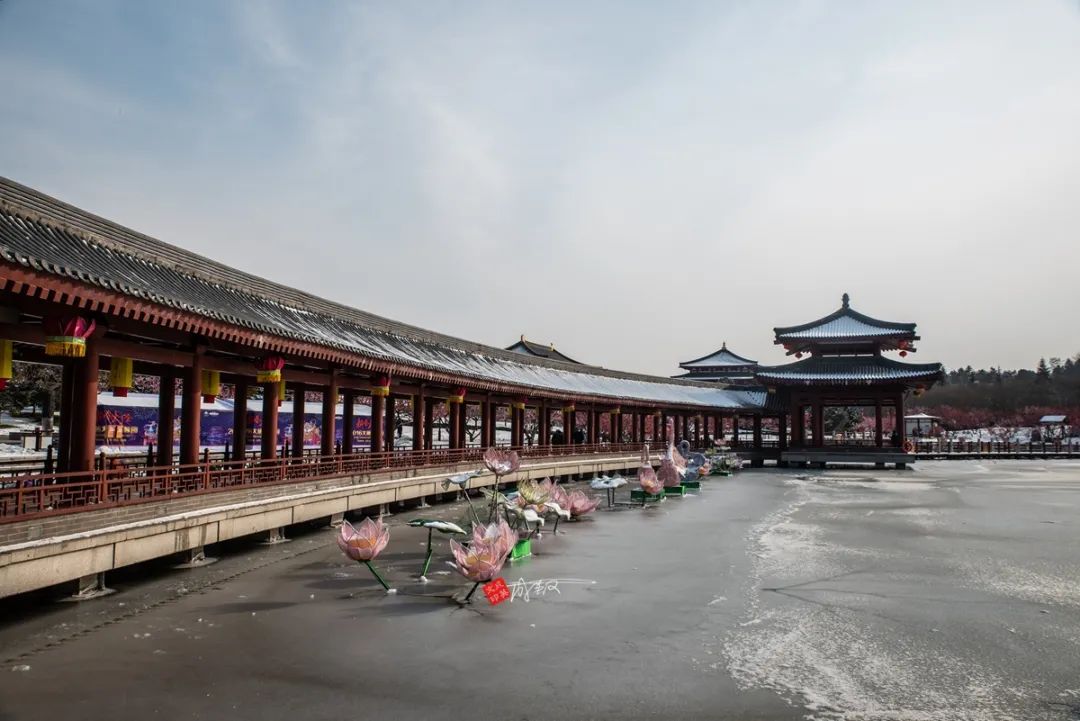 西安大唐芙蓉园门票65岁免票信息,大唐芙蓉园2024免票怎么预约