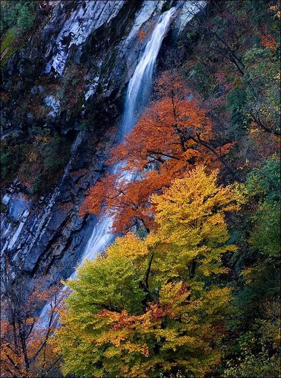 秋季人少景美的小众旅行地,最清静优雅的旅游之地