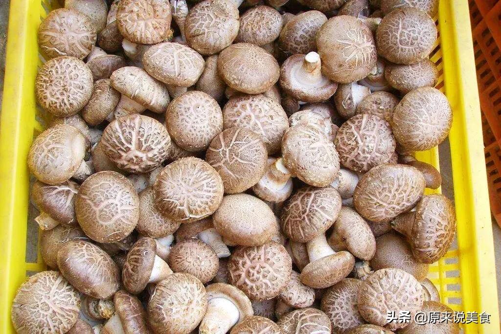 买香菇鲜的,买香菇时怎样选香菇