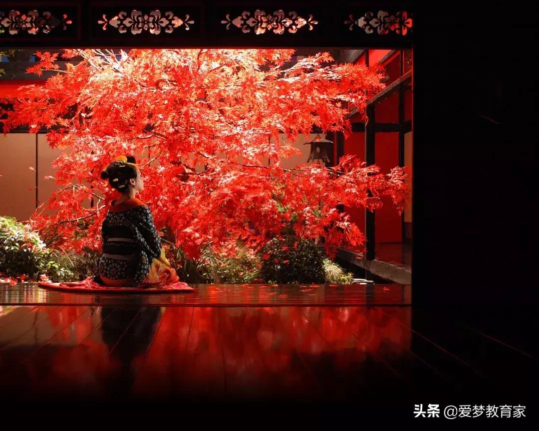 亚洲最狂野女导演，一年出3部新片，半个演艺圈为她站台