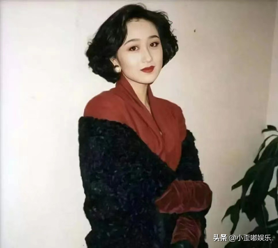 李连杰婚外情,李连杰两段婚姻
