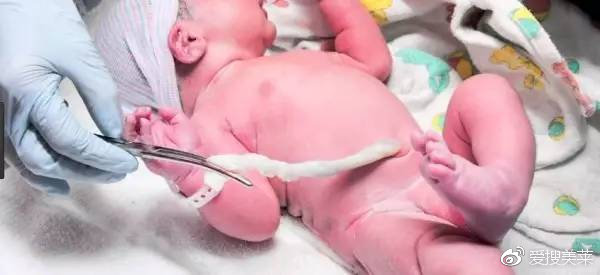 30岁抗老贵妇级精华,皇家脐带血精华真的好用吗