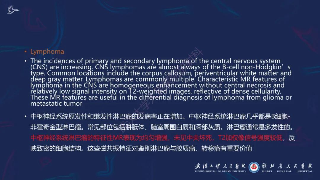 胼胝体肿瘤影像鉴别,胼胝体病变影像诊断