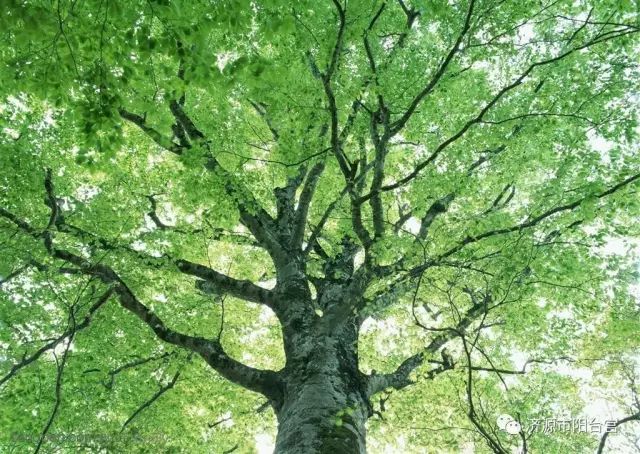 心要平静的最高境界,一颗平常心顺其自然一切随缘