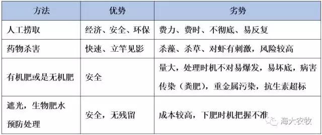 小龙虾虾苗养殖技术,小龙虾养殖怎么放苗