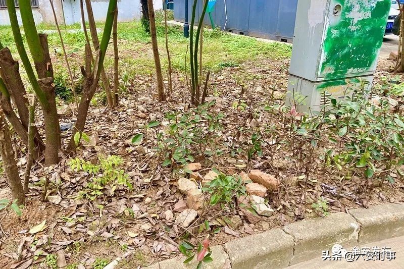 暗访！龙河苑、世纪家园、清水河畔一期、徽盐·湖畔明珠存在这些问题